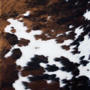 Meet your Posher, Hope